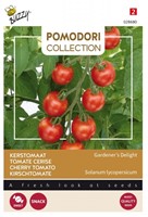 Tomate Cerise Gardener's Delight - Pomodori Collection