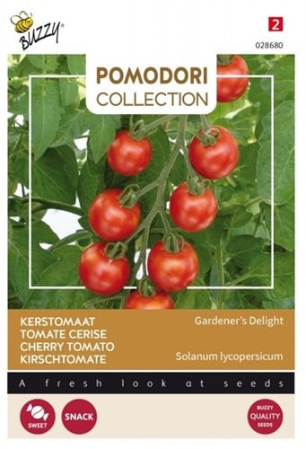 Tomate Cerise Gardener's Delight - Pomodori Collection
