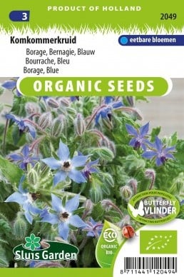 Bourrache Bleu EKO - Borago officinalis