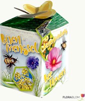 Greengift Mélange de fleurs pour abeilles 40 pcs en showbox-2