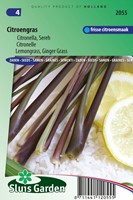 Citronelle Citronella