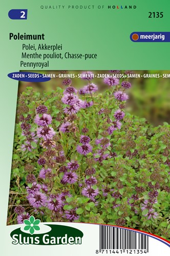 Mentha pouliot, Chasse-puce