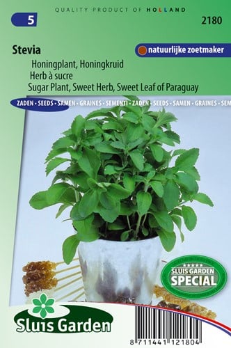 Stevia ou Herbe à sucre