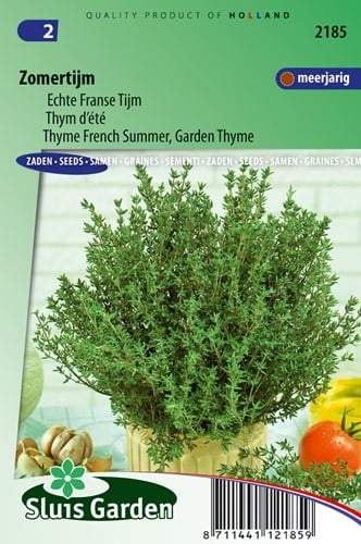 Thym d´été - Thymus vulgaris