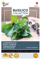 Canella Basilic - Basilico Collection