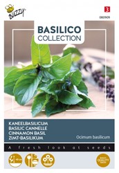 Canella Basilic - Basilico Collection