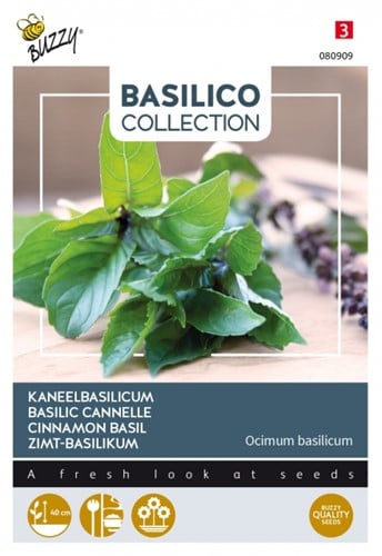 Canella Basilic - Basilico Collection