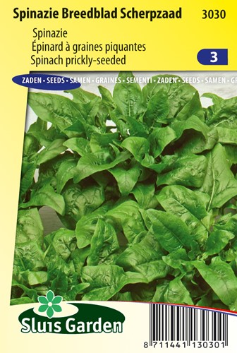 Epinard Breedblad Scherpzaad (à graines piquantes)