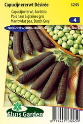 Pois nain à graines gris Désirée