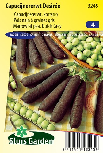 Pois nain à graines gris Désirée