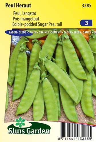 Pois mangetout Heraut
