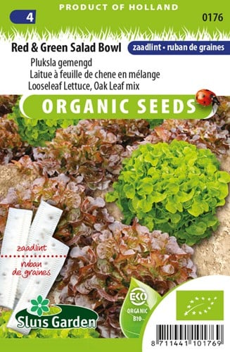 Laitue à feuille de chêne Red Salad Bowl Ruban EKO