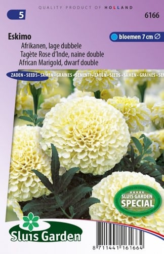 Tagète Rose d’Inde, naine double Eskimo