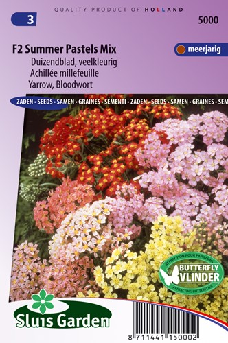 Achilée millefeuille Summer Pastels F2 - Achillea