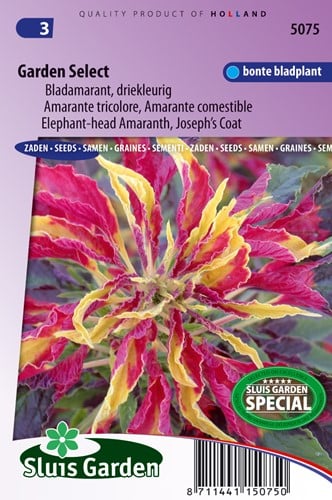 Amarante (tricolore) comestible Garden Select
