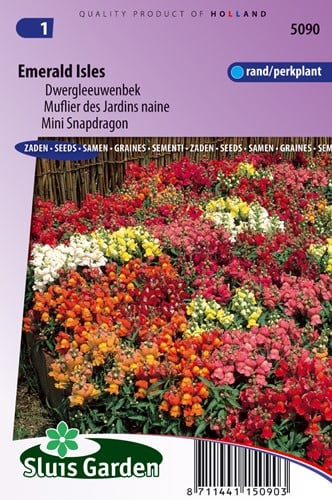 Muflier des Jardins naine Emerald Isles Mix