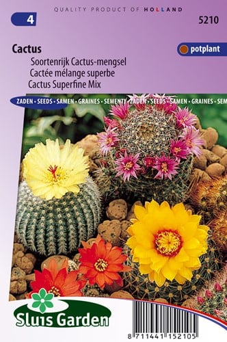 Cacti mélange superbe