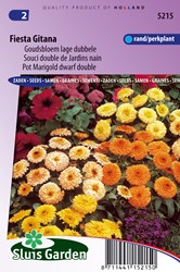 Souci double de Jardins Fiesta Gitana - Calendula