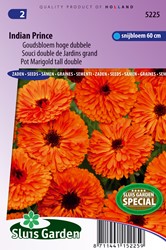 Souci double de Jardins Indian Prince - Calendula