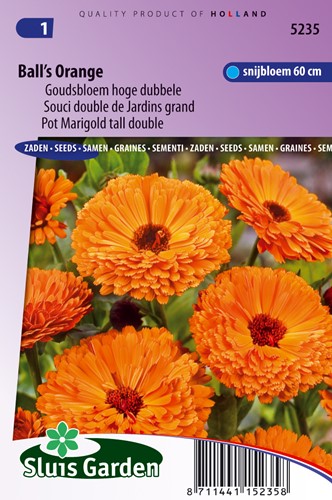 Souci double de Jardins Ball's Orange - Calendula