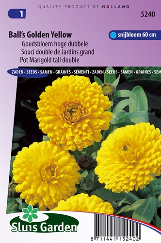 Souci double de Jardins Golden Yellow - Calendula