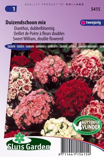 Oeillet de Poète à fleurs doubles Mix