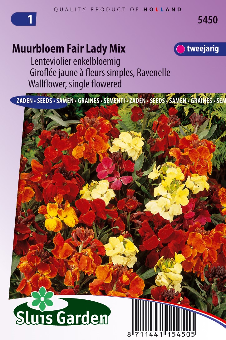 Graines De Giroflée (Erysimum Cheiri) - Sachet De 100 Graines - Fleurs Parfumées Colorées Pour Massif Ou Rocaille