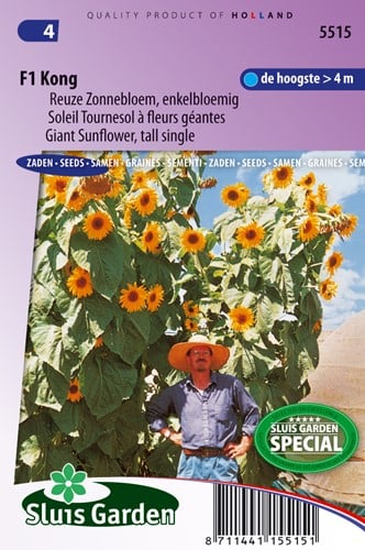 Soleil, Tournesol à fleurs géantes F1 Kong