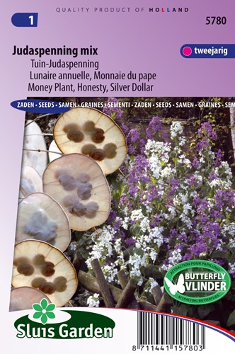 Monnaie du pape - Lunaria