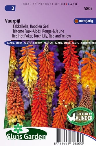 Tritome Faux-Aloès Rouge & Jaune - - Kniphofia