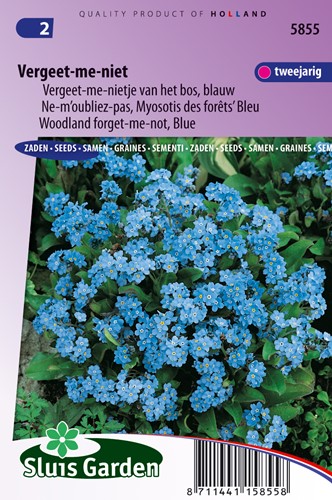 Ne-m'oubliez-pas, Myosotis de forêts Bleu