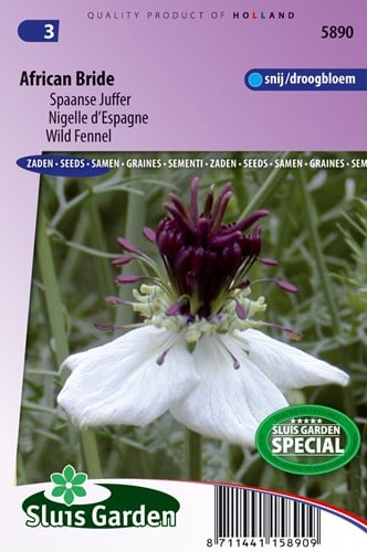Nigelle d'Espagne African Bride