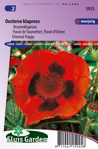 Pavot de Tournefort / d'Oriënt Rouge