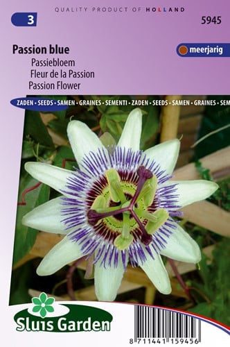 Fleur de la Passion, Passion Bleu - Passiflora