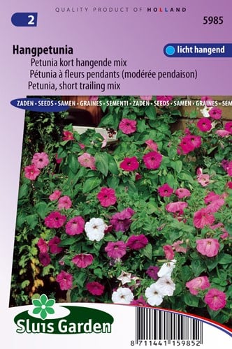 Petunia à fleurs mod. pendants Balcony Mix (modérée pendaison)