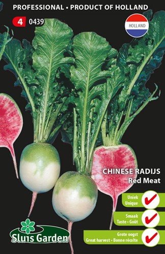 Radis chinoise Red Meat (Raphanus Sativus)
