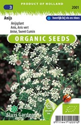 Anis vert BIO - Pimpinella anisum