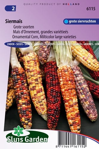 Maïs d'Ornement grandes variétés