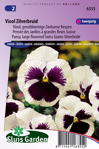 Pensée des Jardins à grandes fleurs Suisse Silverbride