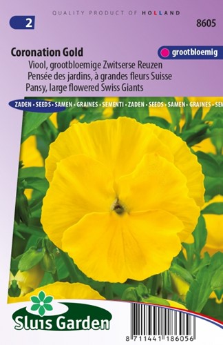 Pensée Coronation Gold - Viola Wittrockiana