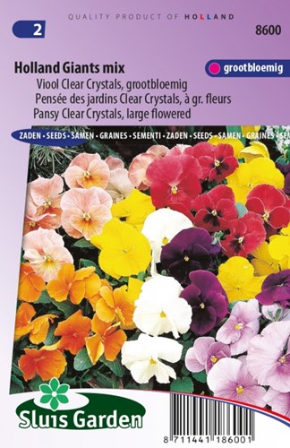 Pensée Holland Giants Mix – Viola Clear Crystals