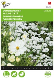 Fleurs d’été En mélange blanches - Buzzy