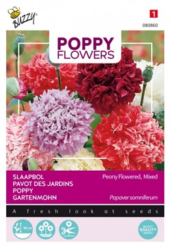 Graines De Pavot Noir Pivoine Annuel - Sachet De 500 Graines Pour Jardin Et Balcon - 2