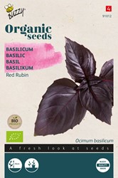 Bio Basilic Red Rubin
