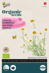 Bio Matricaire (Camomille)