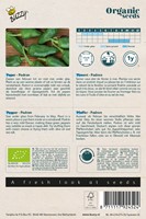 Bio Piment Padron-2