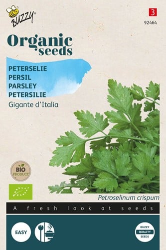 Bio Persil Géant d'Italie