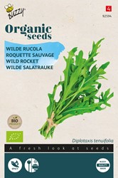 Bio Roquette Selvatica Diplotaxis Erucoides