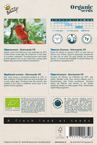 Bio Tomaat Marmande - Solanum lycopersicum-2