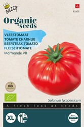 Bio Tomaat Marmande - Solanum lycopersicum